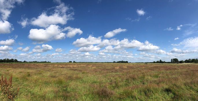 Scenic landscape at The Veenhoop in Friesland The Netherlands