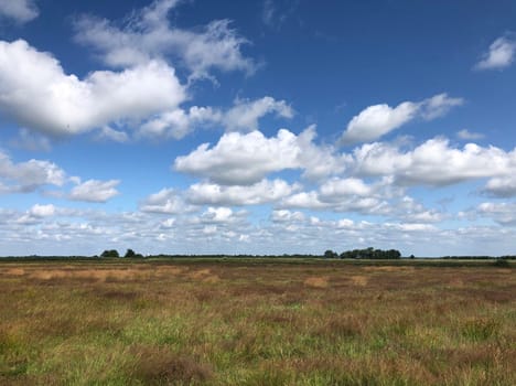 Scenic landscape at The Veenhoop in Friesland The Netherlands