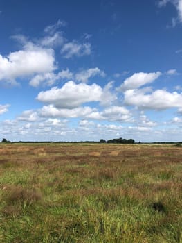 Scenic landscape at The Veenhoop in Friesland The Netherlands