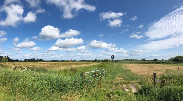 Scenic landscape at The Veenhoop in Friesland The Netherlands