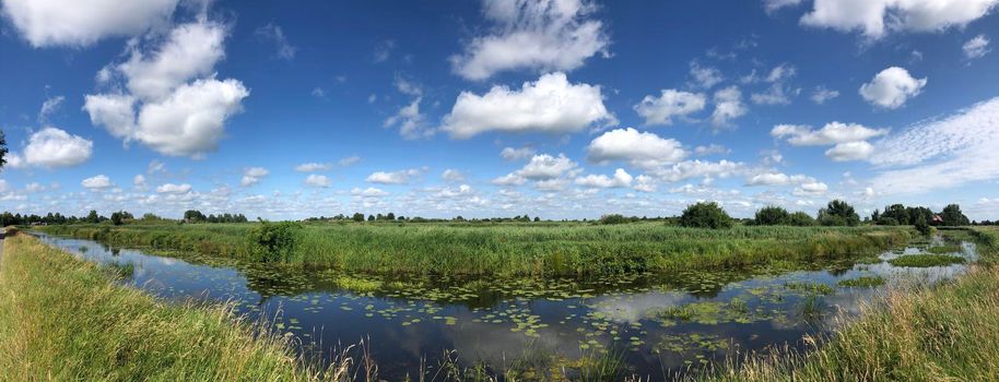 Canal with seeblatt in Friesland The Netherlands