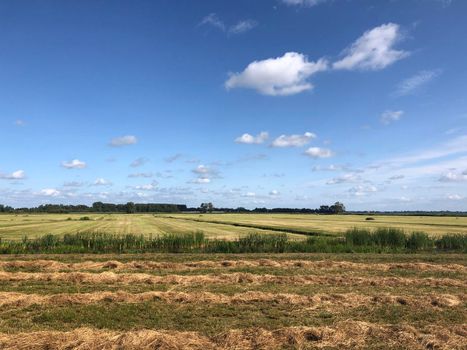 Farmland around Sibrandabuorren in Friesland, The Netherlands