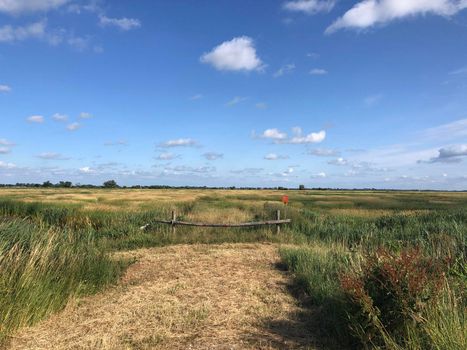 Scenery around Offingawier in Friesland The Netherlands