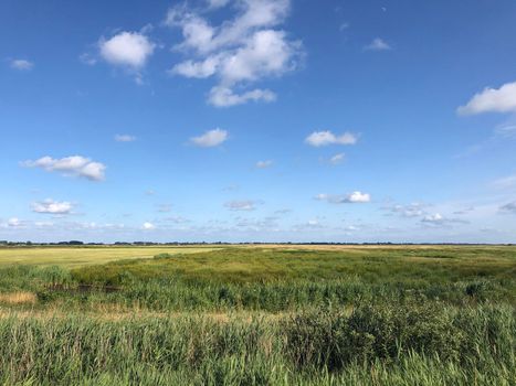 Scenery around Offingawier in Friesland The Netherlands