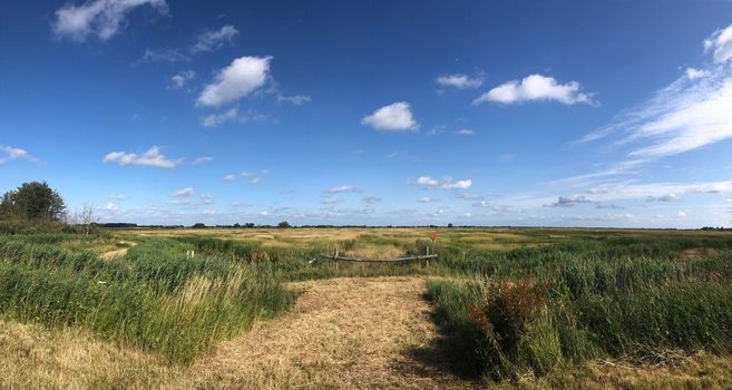 Scenery around Offingawier in Friesland The Netherlands