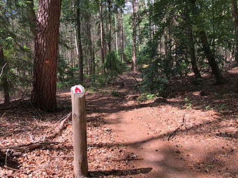 MTB route sign and forest around Ommen in Overijssel The Netherlands