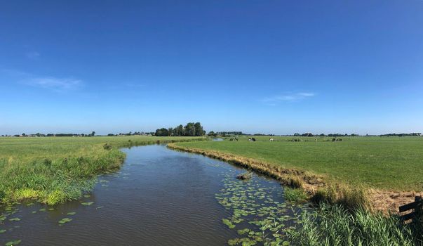 Canal around Bornwird in Friesland, The Netherlands