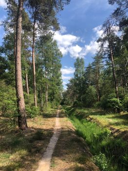 MTB route and forest around Ommen in Overijssel The Netherlands