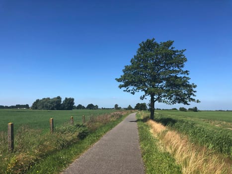 Landscape from around Oudwoude in Friesland The Netherlands