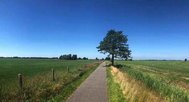 Panoramic landscape from around Oudwoude in Friesland The Netherlands