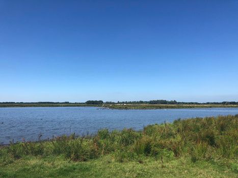 Zwagermieden nature reserve in Friesland The Netherlands