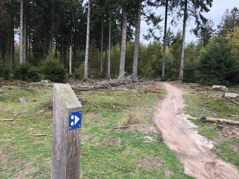 MTB sign at Nationaal Park Drents-Friese Wold in Friesland, The Netherlands