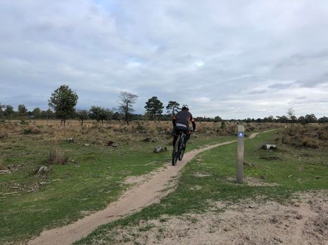 Cycling at Nationaal Park Drents-Friese Wold in Friesland, The Netherlands