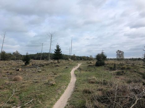 MTB trail at Nationaal Park Drents-Friese Wold in Friesland, The Netherlands