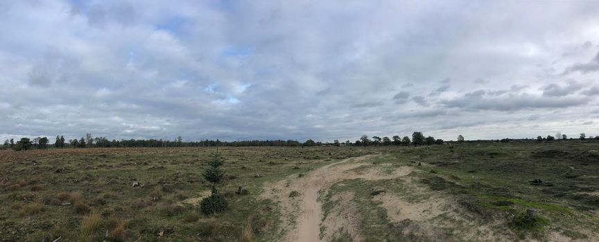 MTB trail at Nationaal Park Drents-Friese Wold in Friesland, The Netherlands