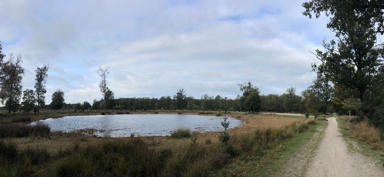 Pond at Nationaal Park Drents-Friese Wold in Friesland, The Netherlands