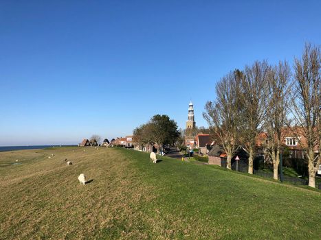 Dyke with sheeps around Hindeloopen during autumn in Friesland, The Netherlands