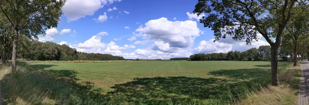 Panoramic landscape around Bekhof in Friesland, The Netherlands
