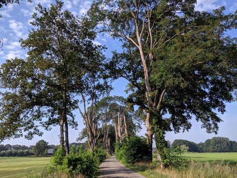 Road towards Exel in Gelderland, The Netherlands