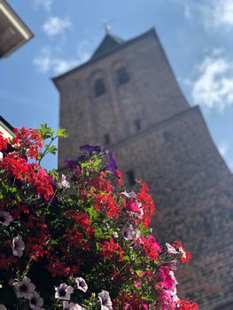 Flowers next to the Guest house church Doesburg, The Netherlands