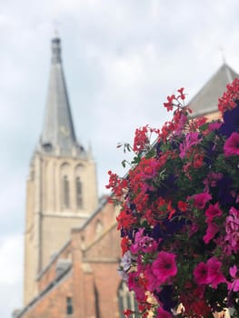 Flowers in the street of Doesburg, The Netherlands