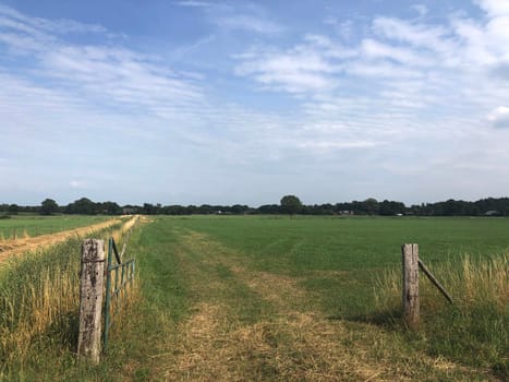 Farmland around Zelhem, The Netherlands