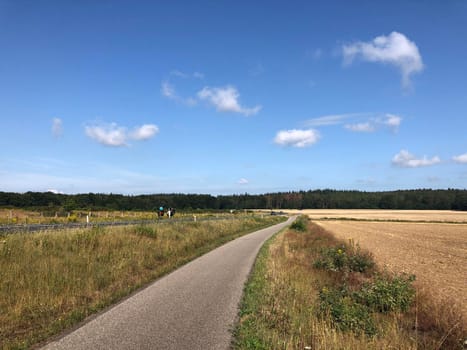 Landscape around Zeddam in Gelderland, The Netherlands