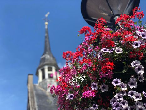 Flowers on a lantern in Zevenaar, The Netherlands