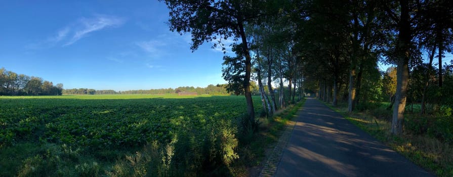 Panorama from farmland around Wolfersveen in Gelderland, The Netherlands