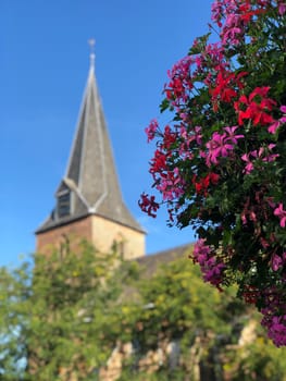 Flowers with the church tower of Ruurlo in Gelderland, The Netherlands