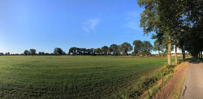 Panorama from farmland around Veldhoek in Gelderland, The Netherlands