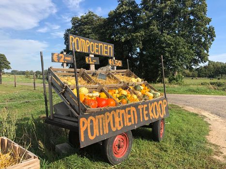 Car with pumpkins for sale around Sinderen in The Netherlands