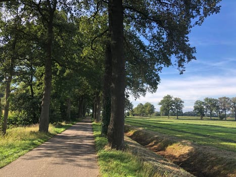 Farming landscape around Sinderen in The Netherlands