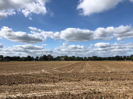 farm land around Megchelen in The Netherlands