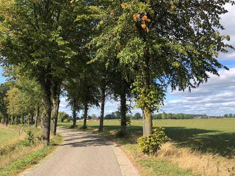 Road around Megchelen, Gelderland, The Netherlands