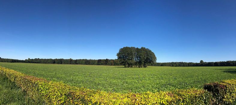 Farmland around Hummelo in Gelderland, The Netherlands