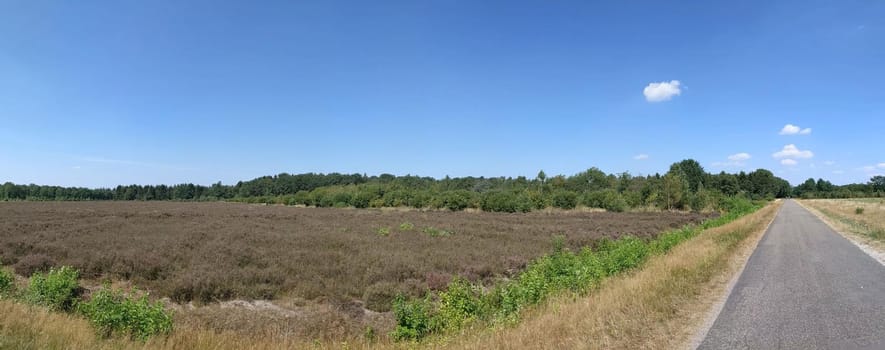 Panorama from around Eesveen in Overijssel, The Netherlands