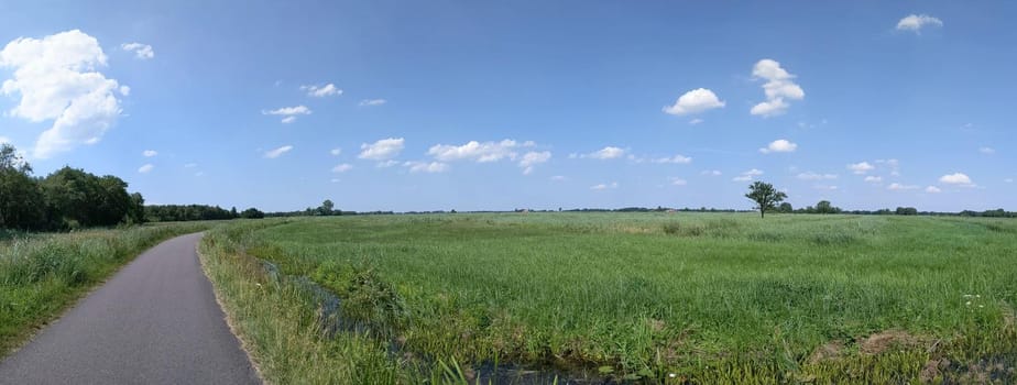 Nature reserve around Kalenberg, Overijssel The Netherlands