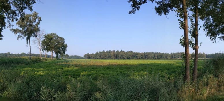 panoramic landscape around Schalkhaar in The Netherlands