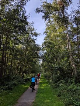 Tourists cycling through the forest around Kalenberg, Overijssel, The Netherlands