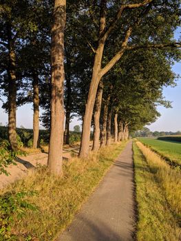 Bicycle path around Lemelerveld, Overijssel The Netherlands