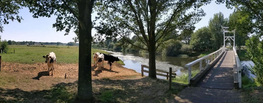 Bridge over the river (Beneden Regge) around Ommen, Overijssel The Netherlands