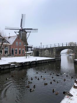 Canal with ducks in Sloten during winter