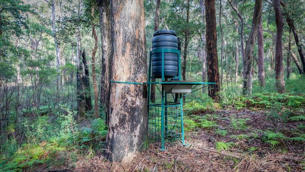 A wildlife watering system in the Australian National Parks program