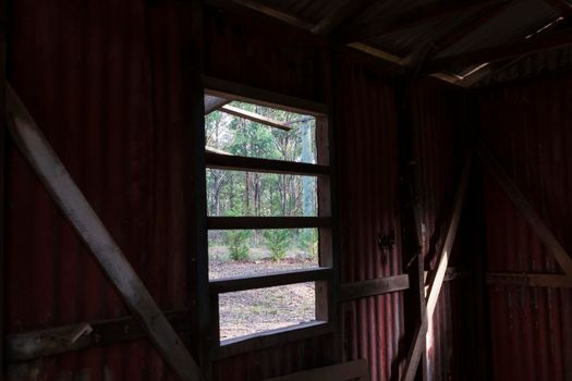 Inside an old building looking out the window at a forest