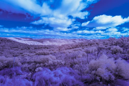The Blue Mountain in infrared in New South Wales, Australia