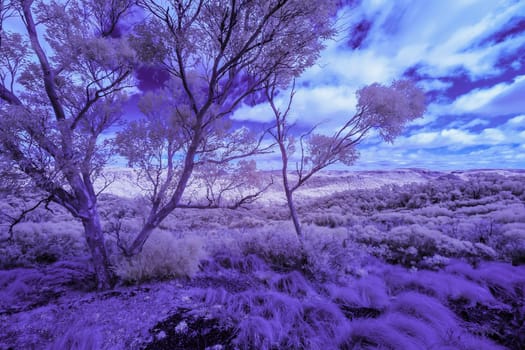 The Blue Mountain in infrared in New South Wales, Australia