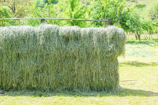Haystack, a bale of hay group. Agriculture farm and farming symbol of harvest time with dry grass (hay), hay pile as a mountain of dried grass hay straw.