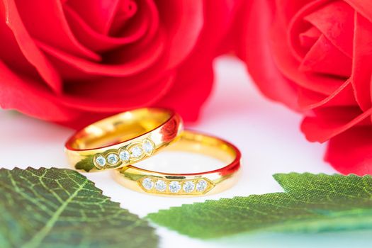 Close up Gold ring and Red roses on white  background, Wedding concept with roses and gold rings