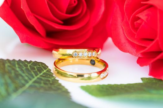 Close up Gold ring and Red roses on white  background, Wedding concept with roses and gold rings